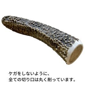 北海道エゾ鹿の角（シカンタ）