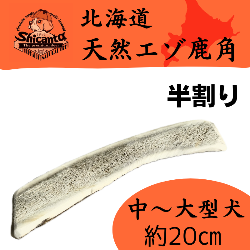 蝦夷鹿角（天然）