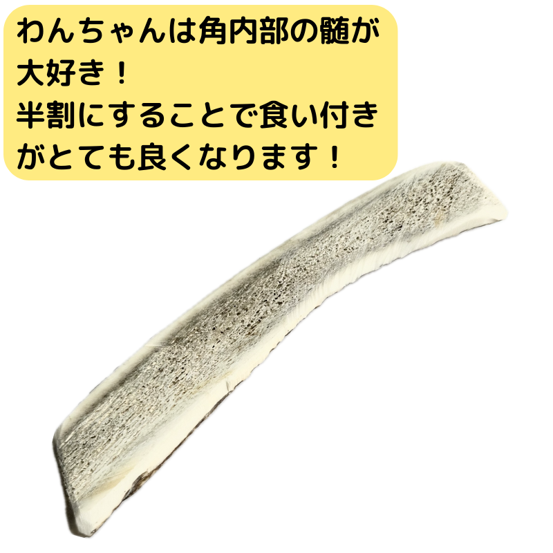 蝦夷鹿角（天然）大形角 凶悪