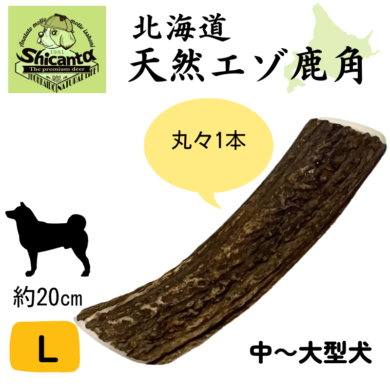shicanta鹿ツノL