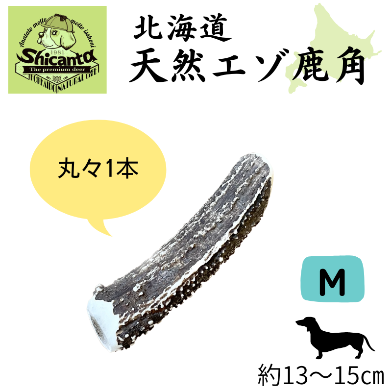 shicanta鹿ツノM